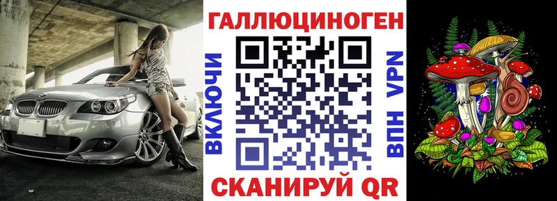 blacksprut как войти  Стародуб  Псилоцибиновые грибы GOLDEN TEACHER 