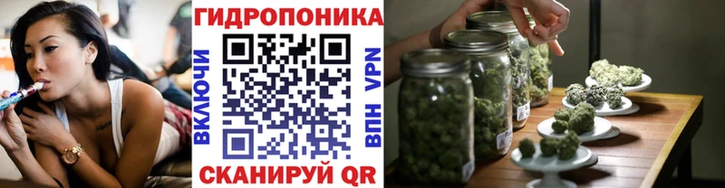 Бошки марихуана марихуана  Стародуб 